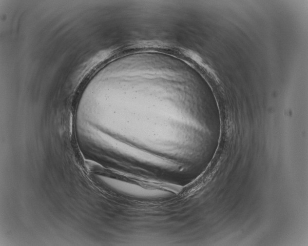 X0000085831221200703301611