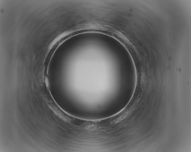 X0000085831222200703301611