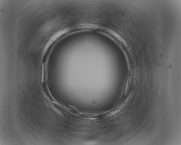 X0000085831223200703301611