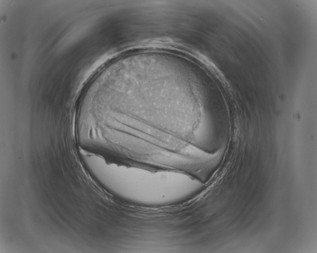 X0000085831224200703301611