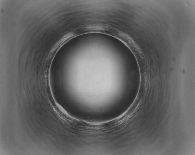 X0000085831225200703301611