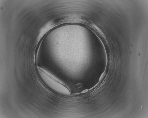 X0000085831226200703301611