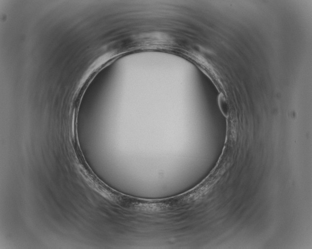 X0000085831227200703301611