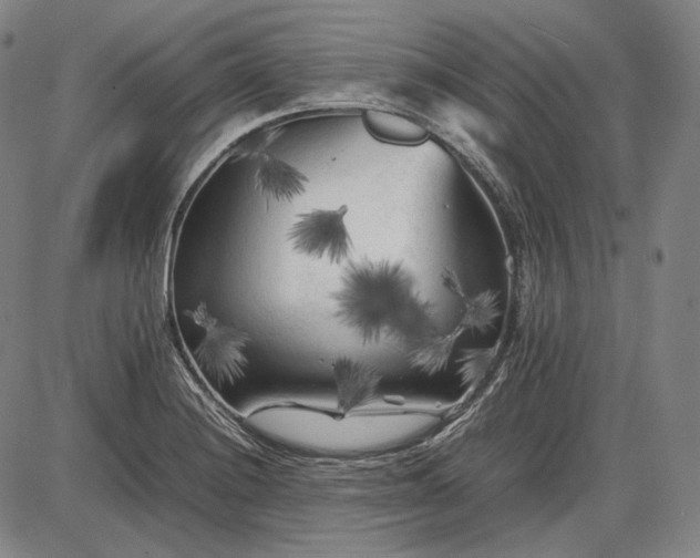 X0000085831228200703301611