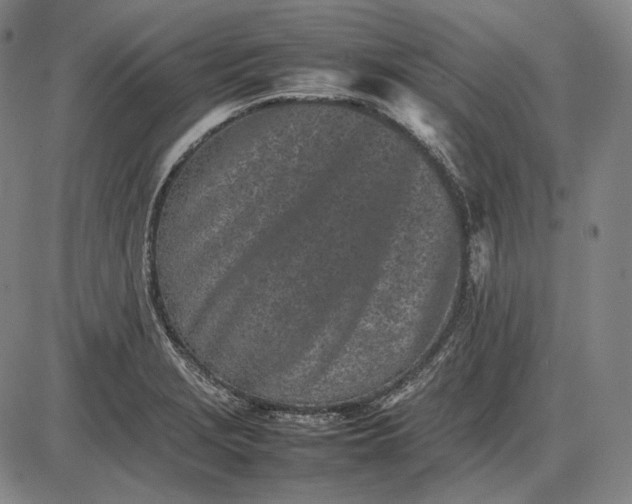 X0000085831229200703301611