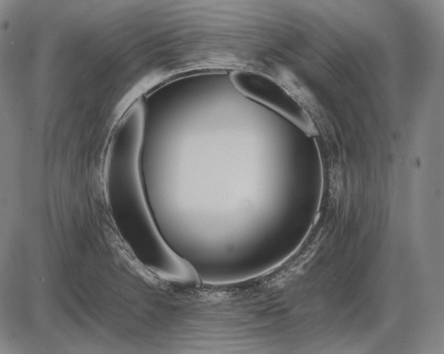 X0000085831230200703301611