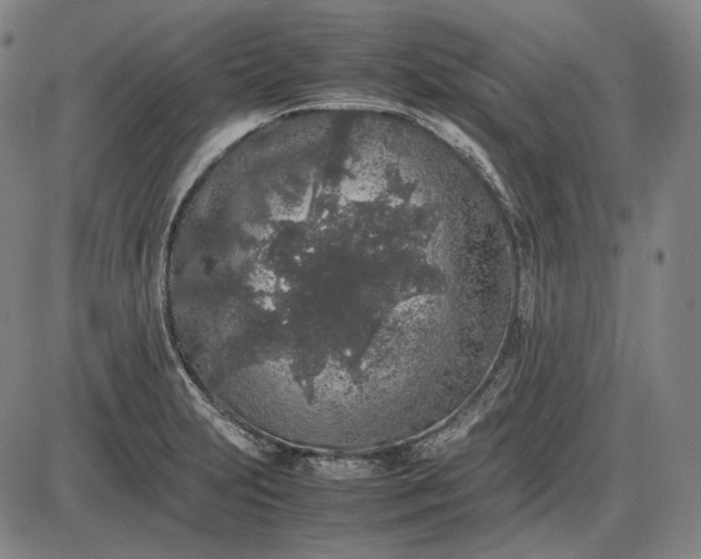 X0000085831231200703301611