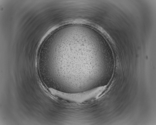 X0000085831232200703301611