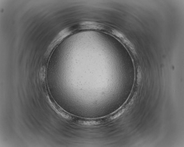 X0000085831233200703301611