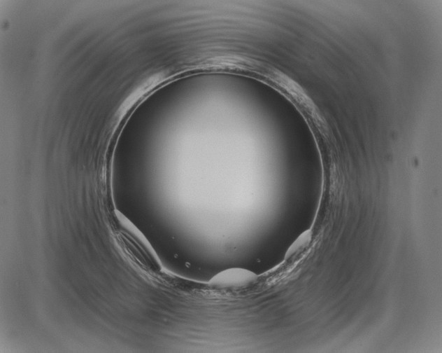 X0000085831234200703301611