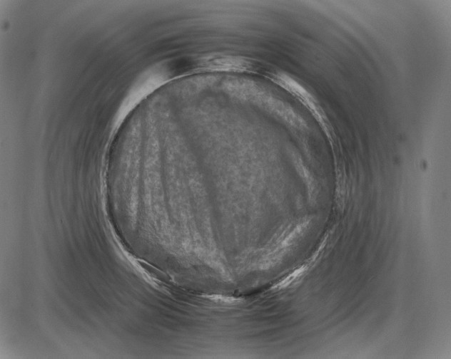 X0000085831235200703301611