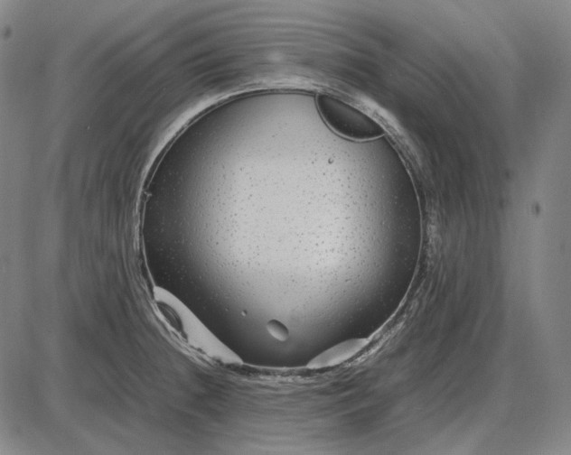 X0000085831236200703301611