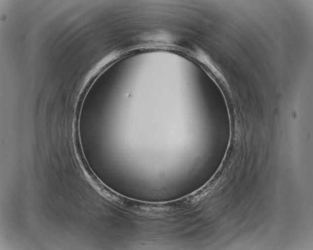 X0000085831237200703301611