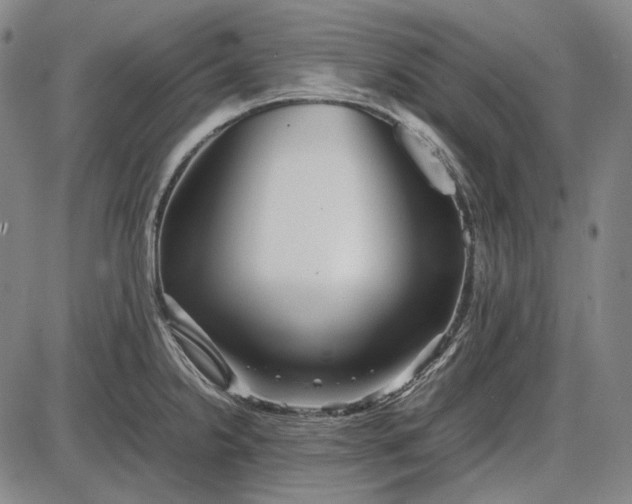 X0000085831238200703301611