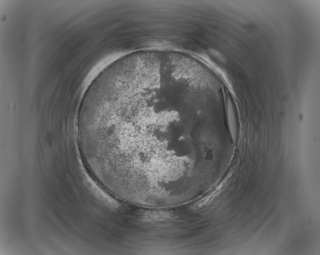 X0000085831239200703301611