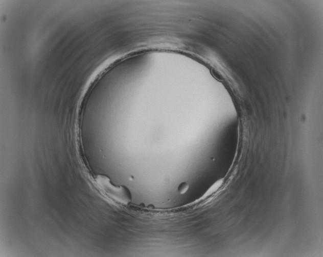 X0000085831240200703301611