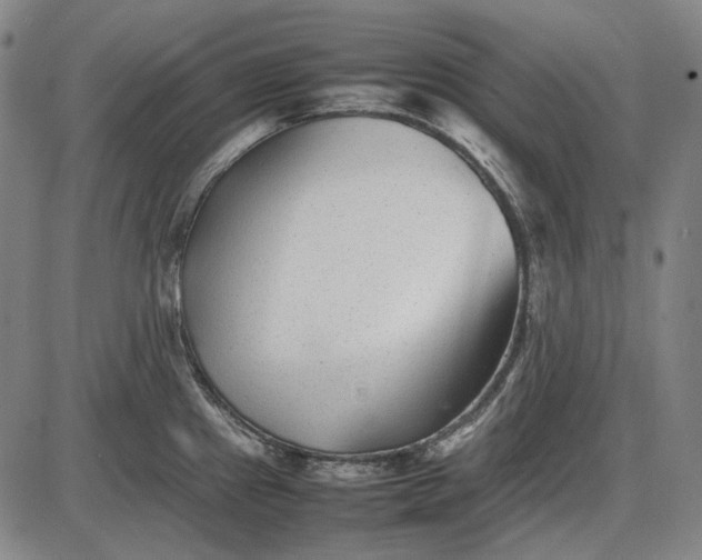 X0000085831241200703301611