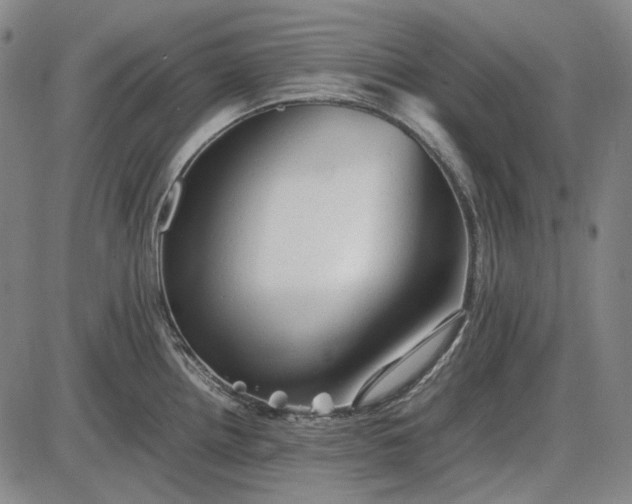 X0000085831242200703301611