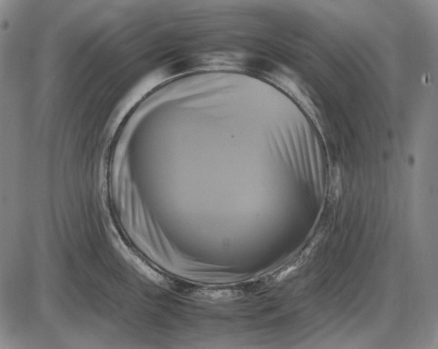 X0000085831243200703301611