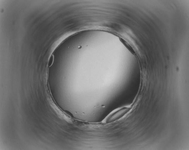 X0000085831244200703301611