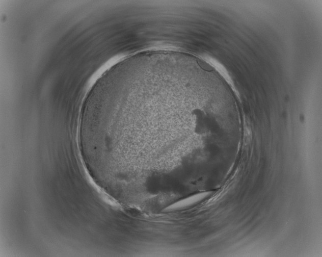 X0000085831245200703301611