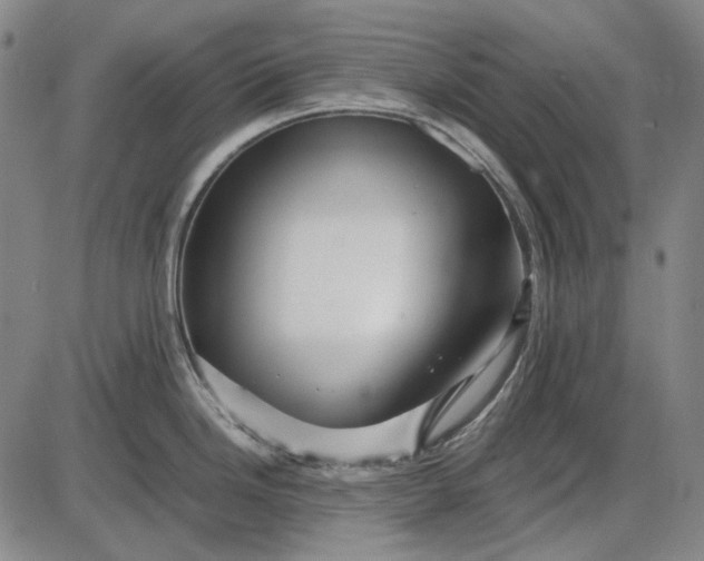 X0000085831246200703301611