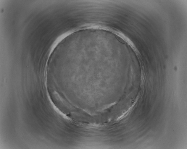 X0000085831247200703301611