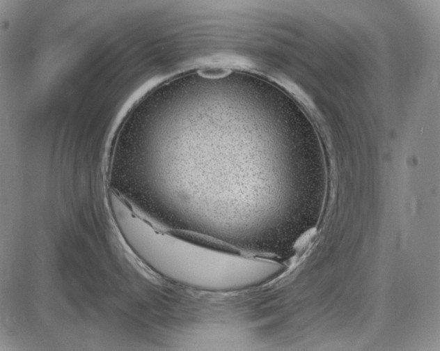 X0000085831248200703301611