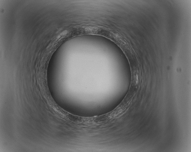 X0000085831249200703301610