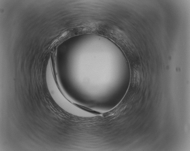 X0000085831250200703301610