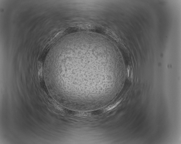 X0000085831251200703301610