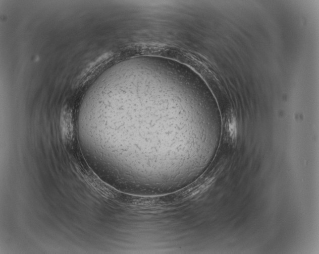 X0000085831252200703301610