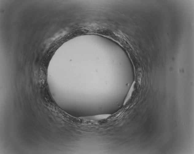 X0000085831253200703301610