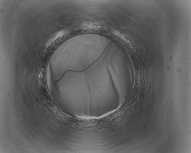 X0000085831254200703301610