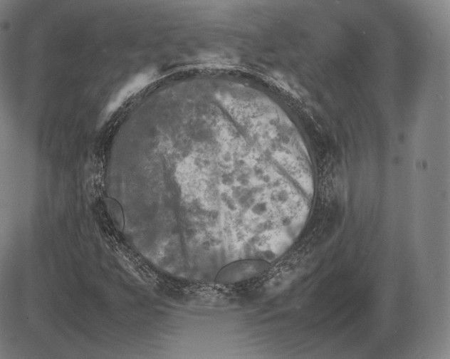 X0000085831255200703301610