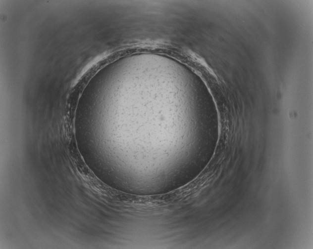 X0000085831256200703301610