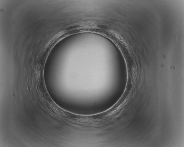 X0000085831257200703301610