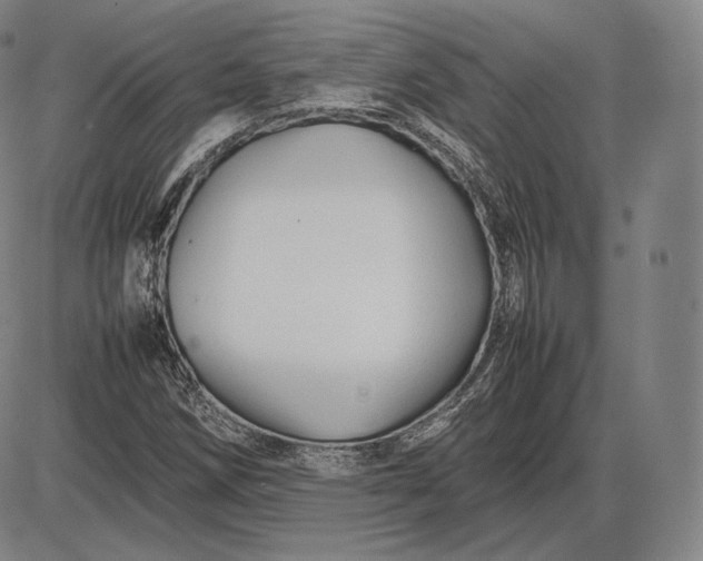 X0000085831258200703301610