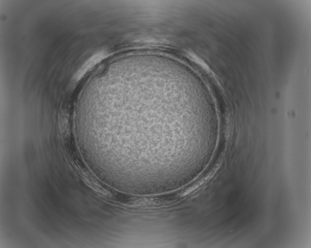 X0000085831259200703301610