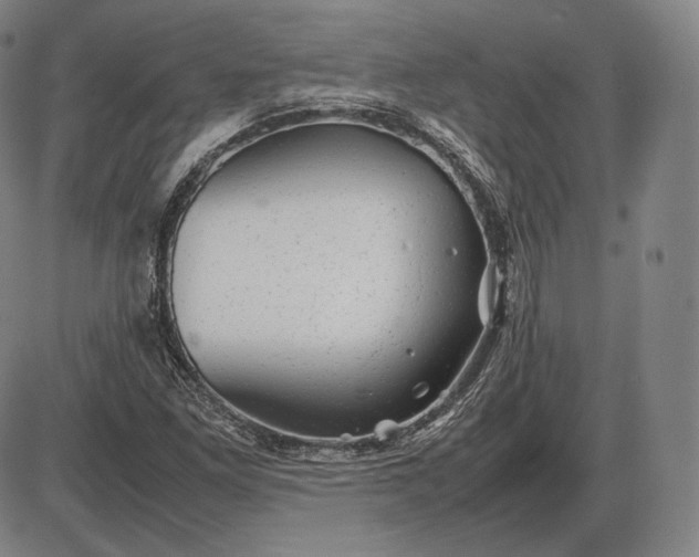 X0000085831261200703301610