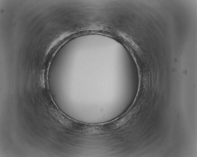 X0000085831262200703301610