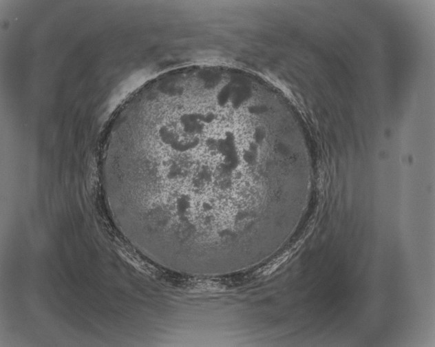 X0000085831263200703301610