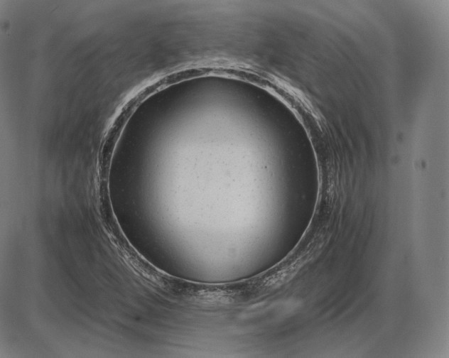 X0000085831264200703301610