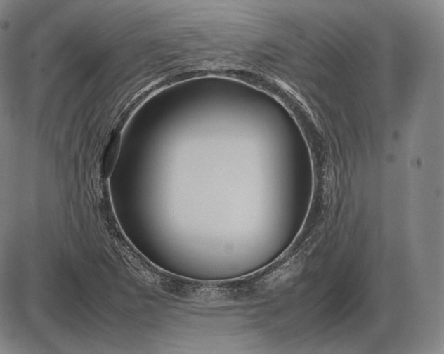 X0000085831265200703301610