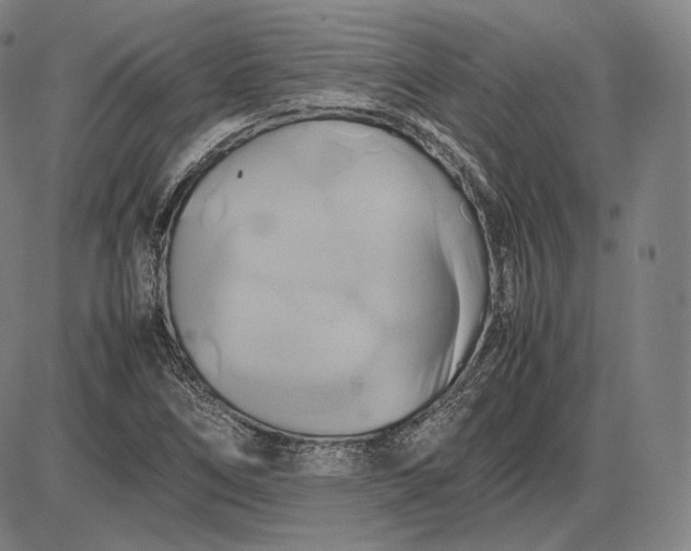 X0000085831266200703301610