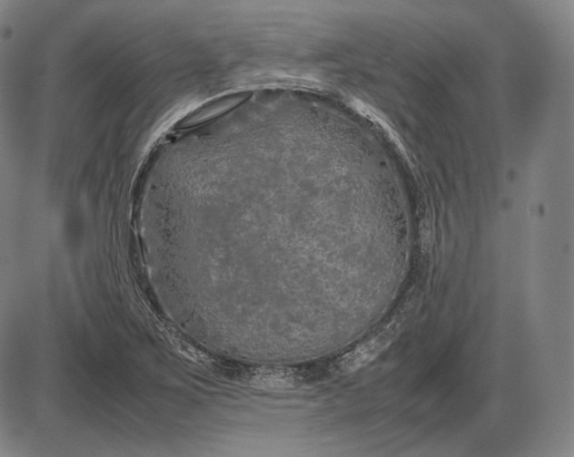 X0000085831267200703301610