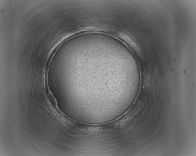 X0000085831268200703301610