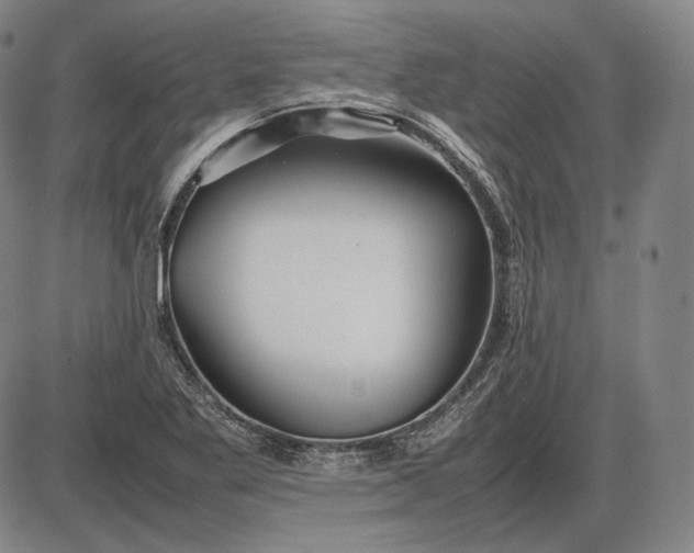 X0000085831269200703301610