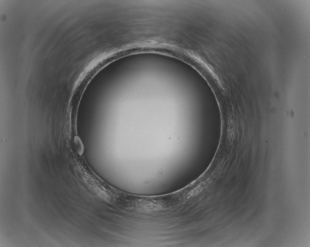 X0000085831270200703301610