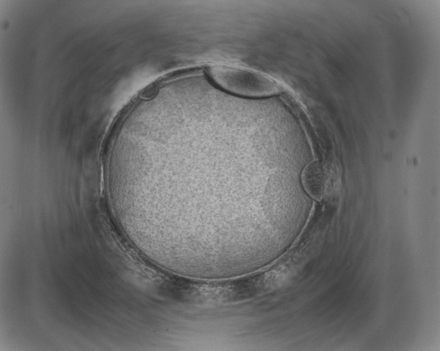 X0000085831271200703301610